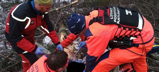 BIESZCZADY: Tragedia podczas prac w lesie. Pilarz zmarł w szpitalu